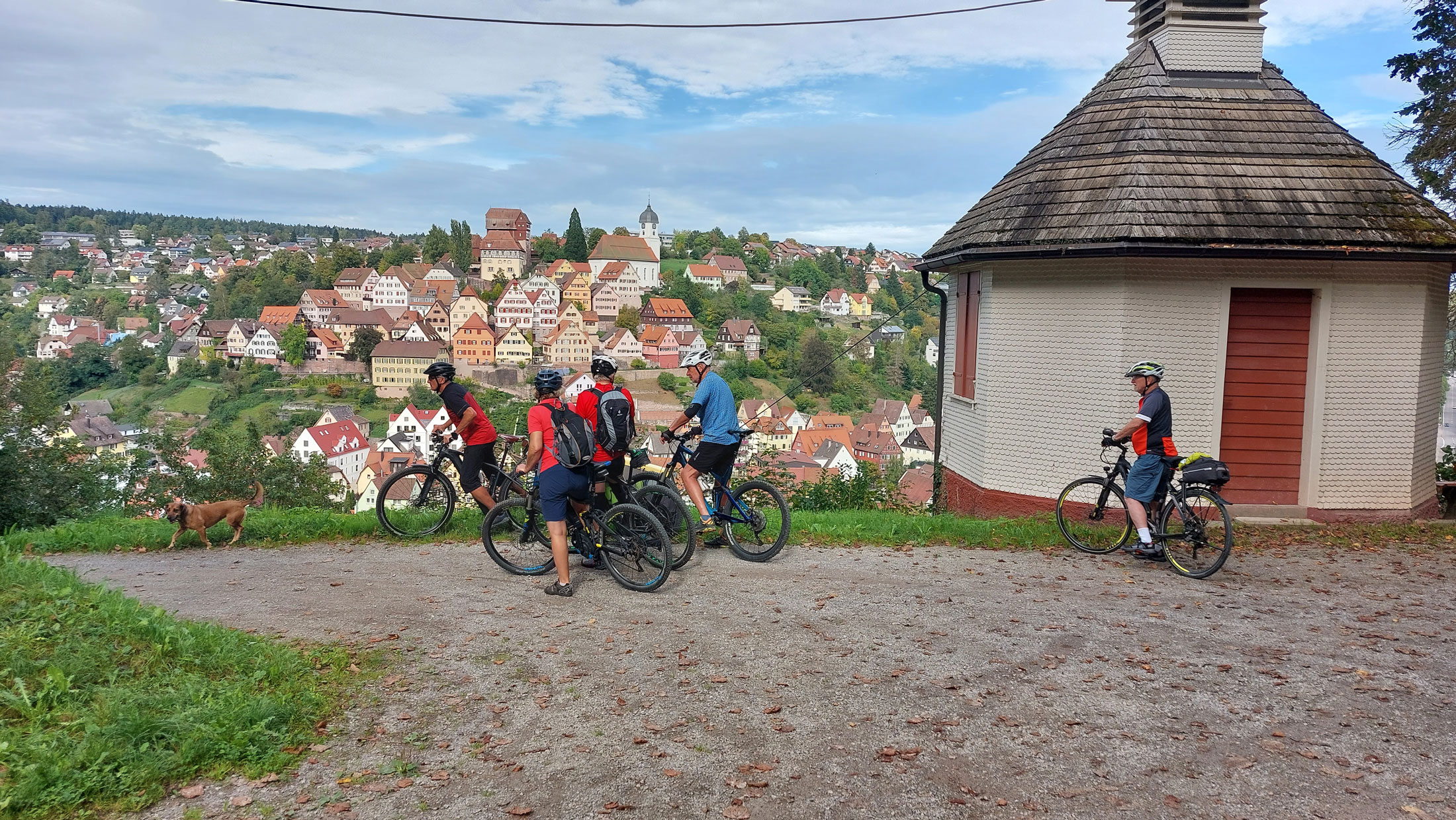 Frank Großhans‘ Bericht zum Breitensport 2023